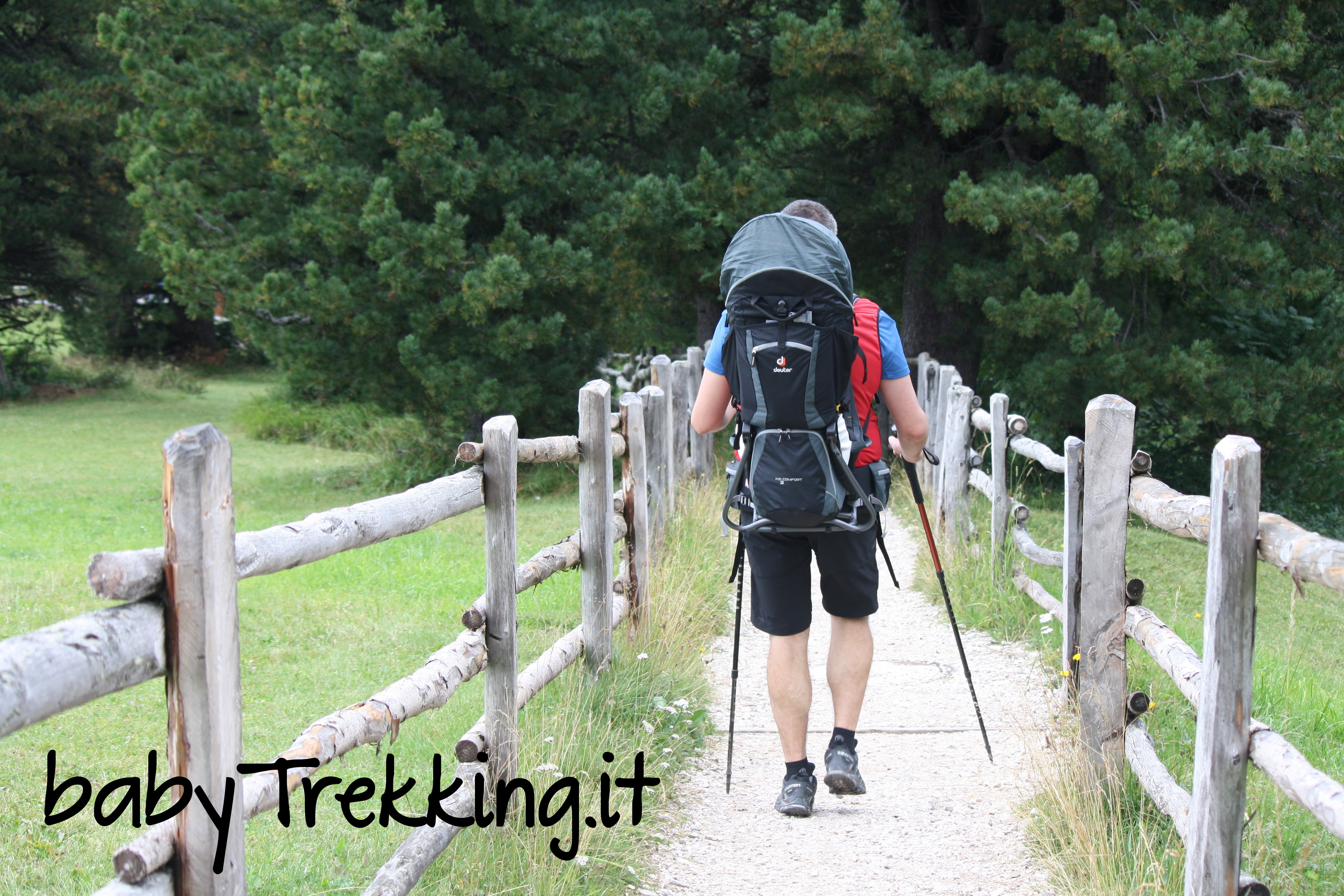 Trekking Della Viandante Della Donna in Montagne Con Il Bambino in Zaino  Madre Con Il Neonato Che Viaggia Nel Giorno Soleggiato D Immagine Stock -  Immagine di trasporti, viaggio: 110924045